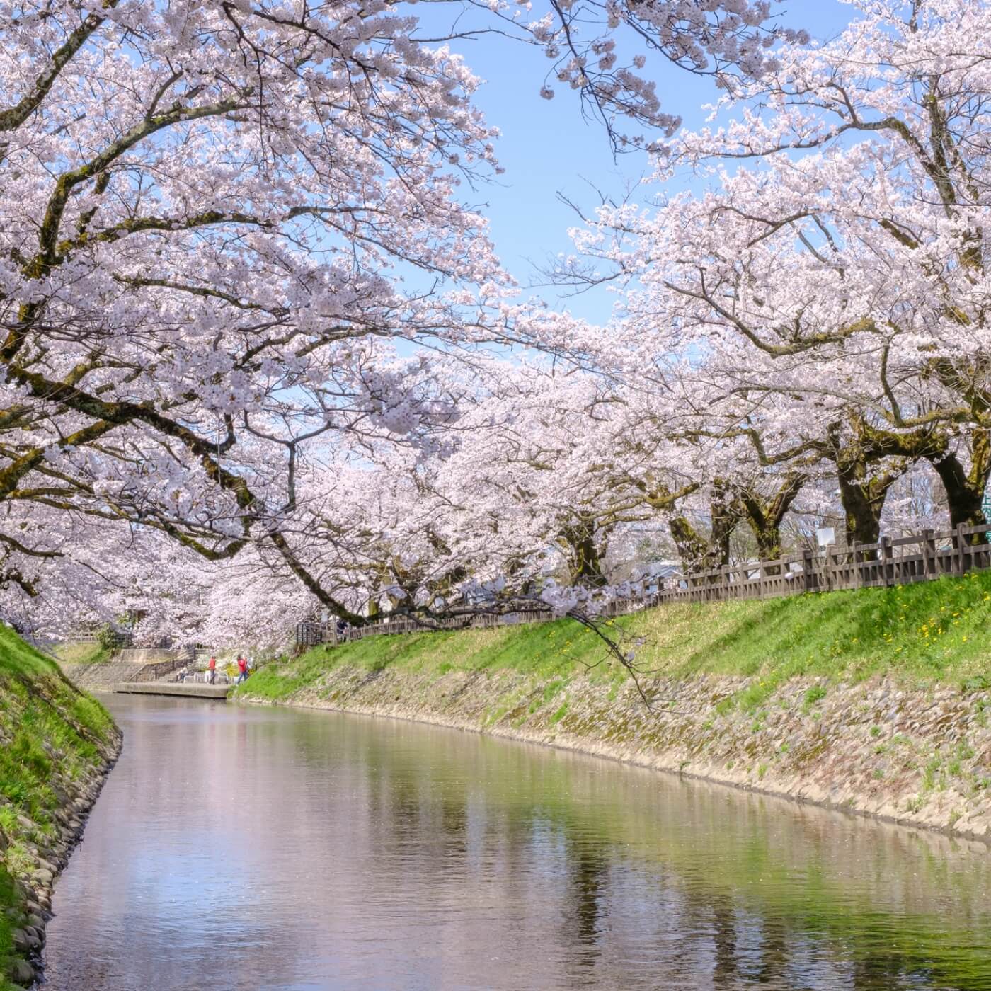 あなたが好きな富山市の風景・人・ものの写真を応募してみんなで富山市合併20周年をお祝いしましょう！