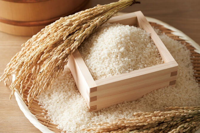 富山県産新米 5kg